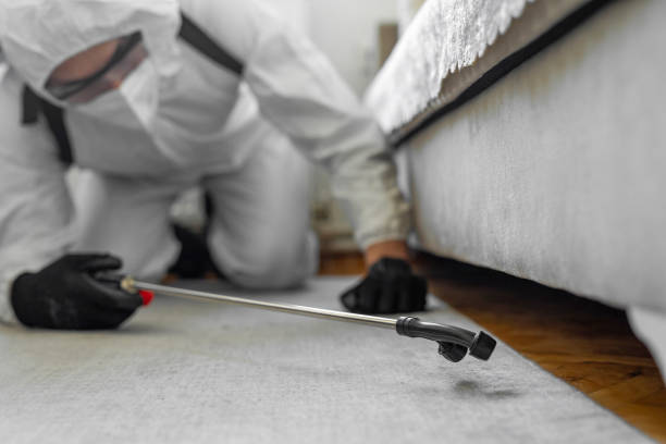 Professional Bed Bug Control technician working in Cherryland, CA