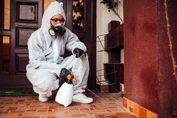 Reliable Bed Bug Control contractor in Cherryland, CA by Nex Pest Control